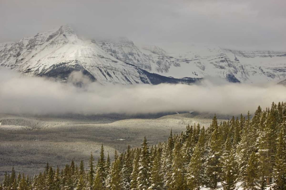Canada, Banff NP A low cloud bank in the valley art print by Don Grall for $57.95 CAD